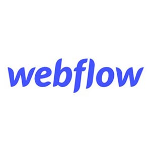 webflow-website-development-2