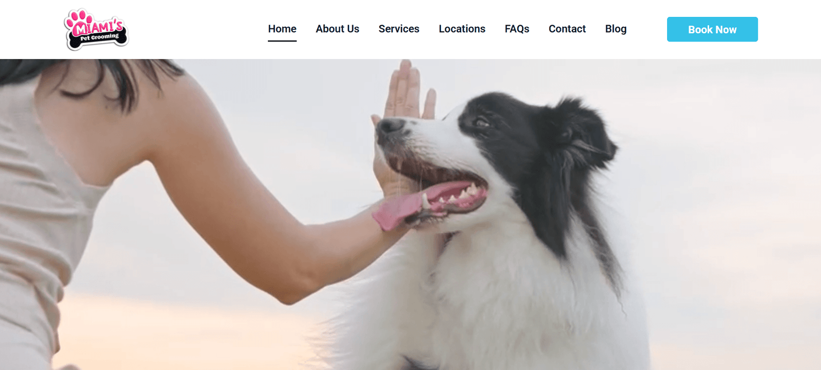 Harrison Joseph website