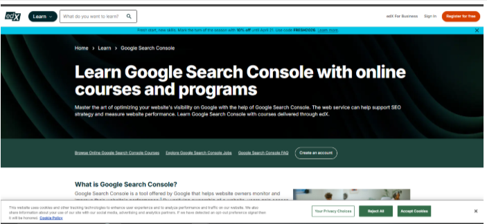 Google SEO & AI Integration